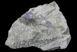 Purple Fluorite on Sparkling Dolomite - Elmwood Mine #89701-1